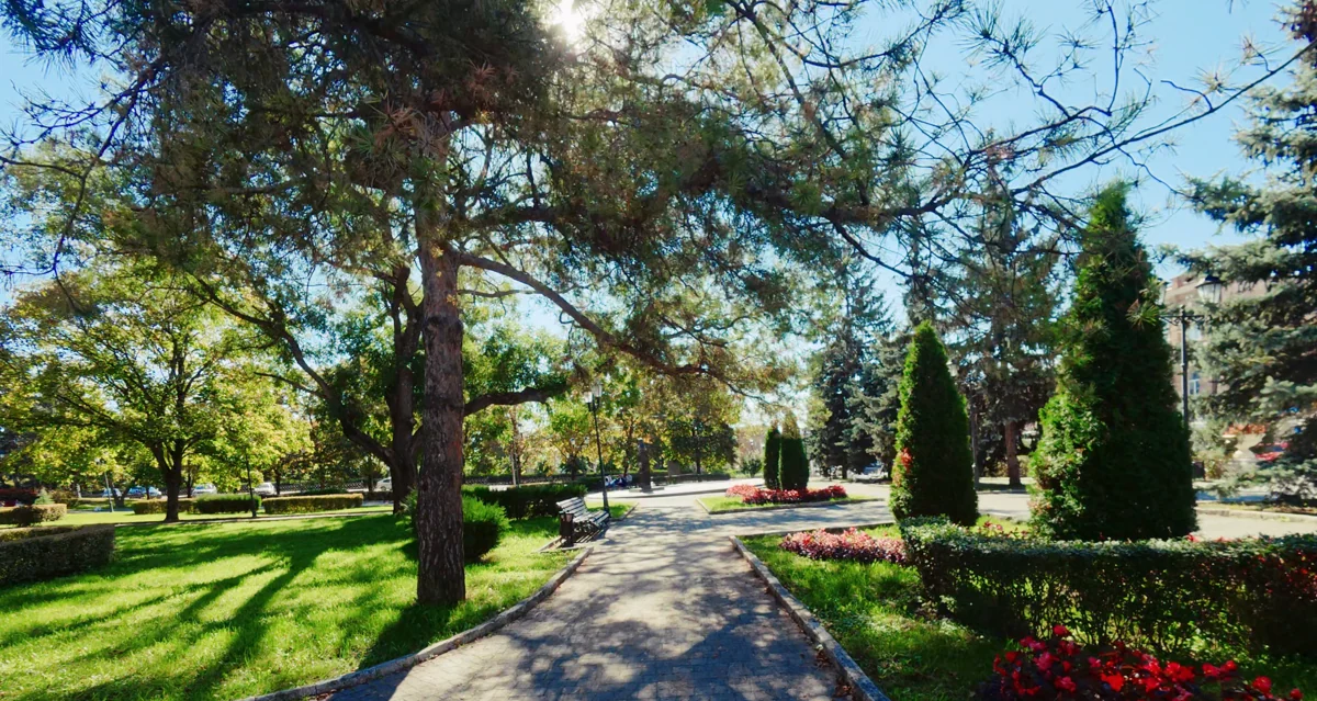 Прогулка по парку