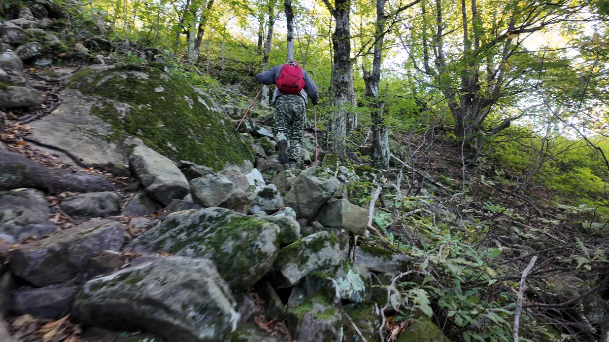 Каменные ступени на подъёме